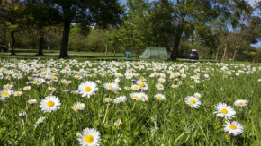 Bring your own tent or campervan